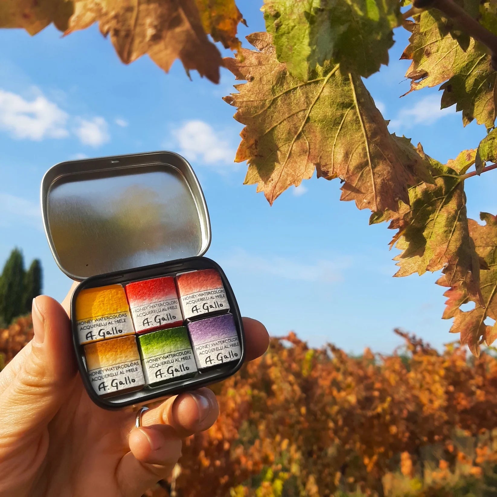 A. Gallo Colours Vendemmia 6er Set (ohne Pinsel)