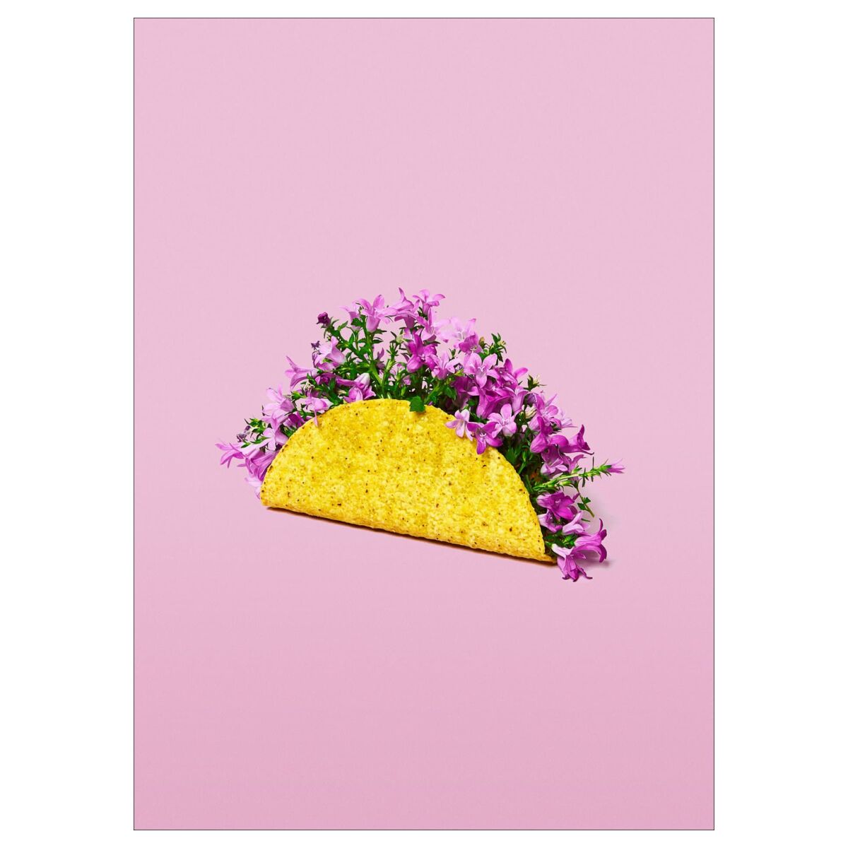 Supermercat Flower taco 50 x 70 cm