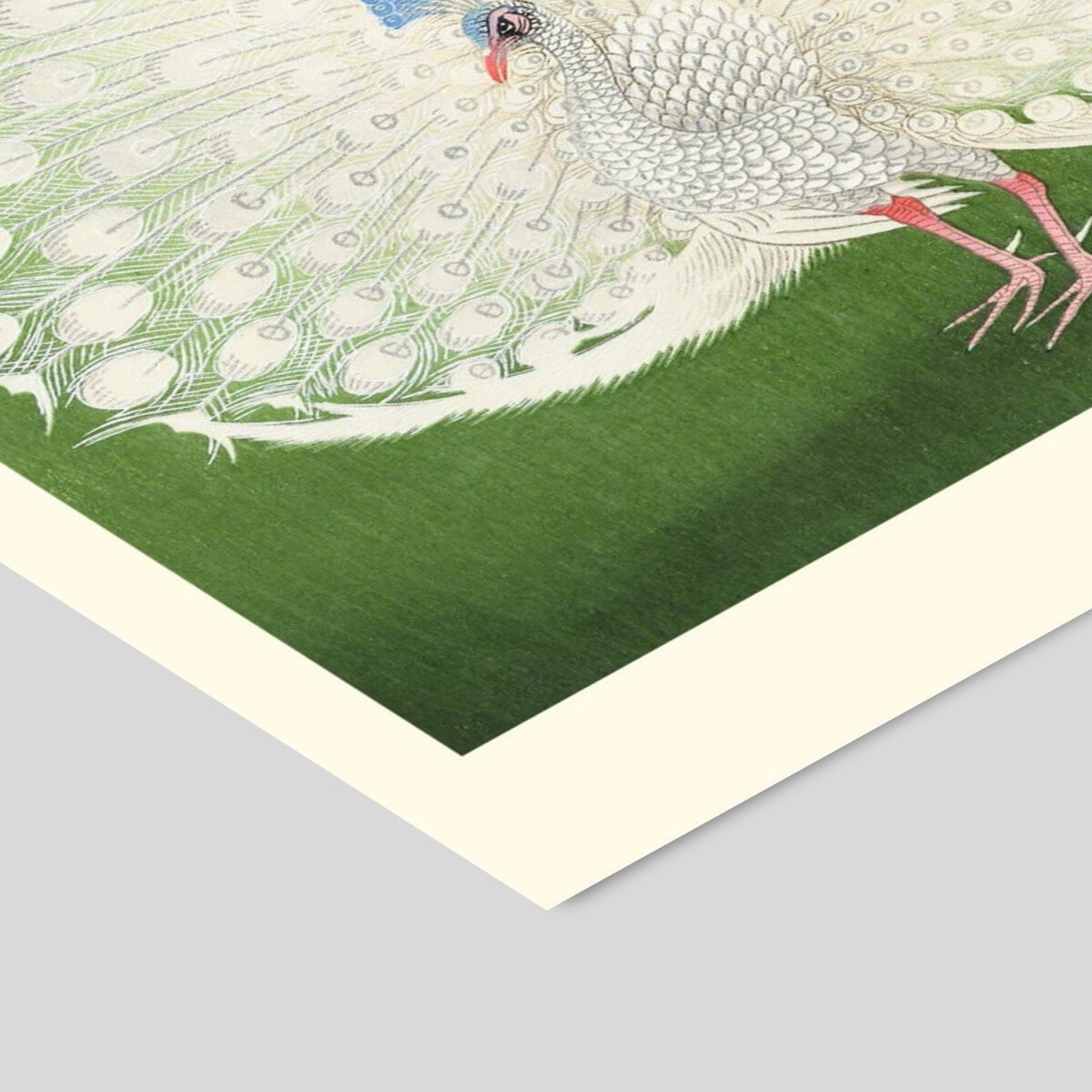 A.P. Atelier Peacock 50 x 70 cm