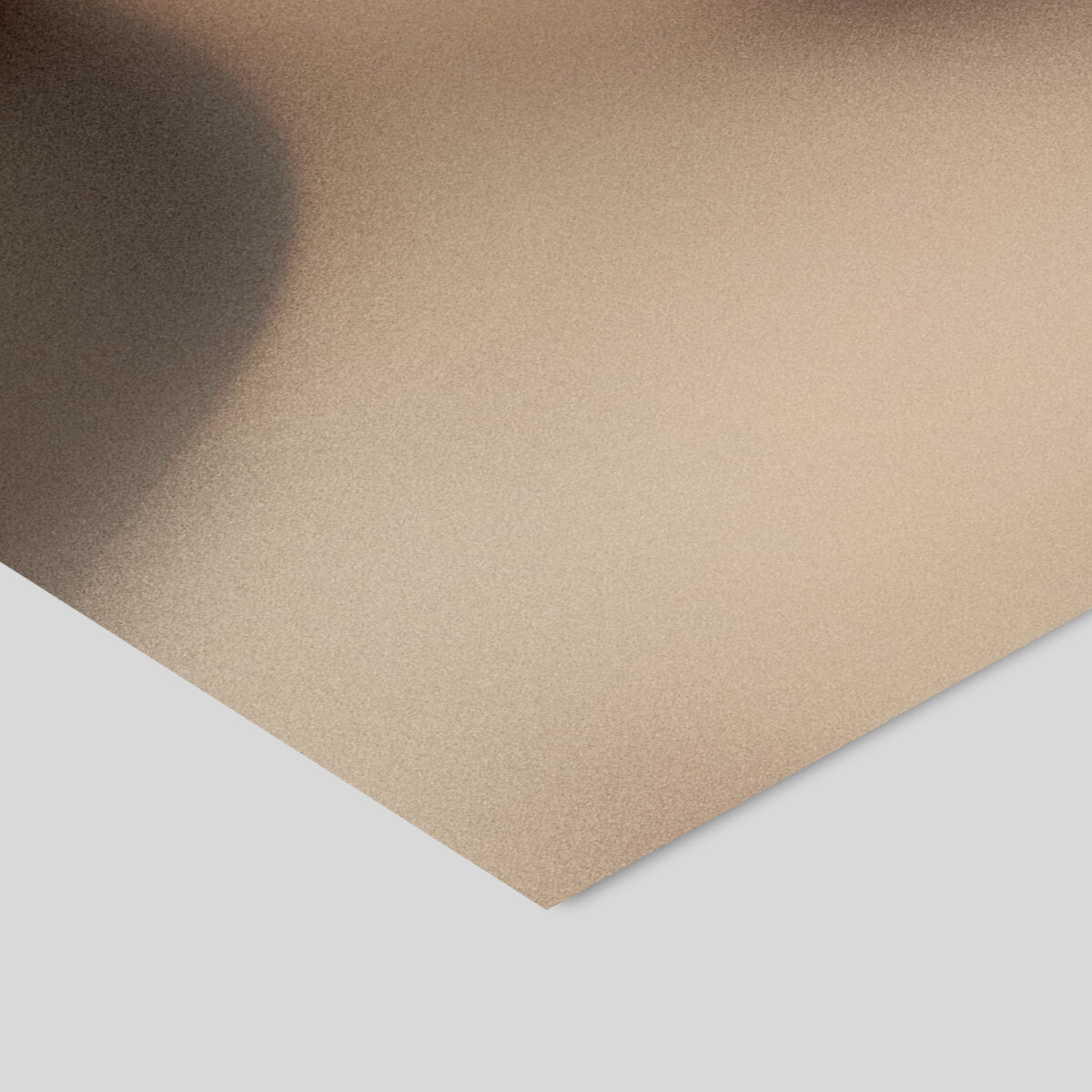 Gurilla Portrait H 50 x 70 cm