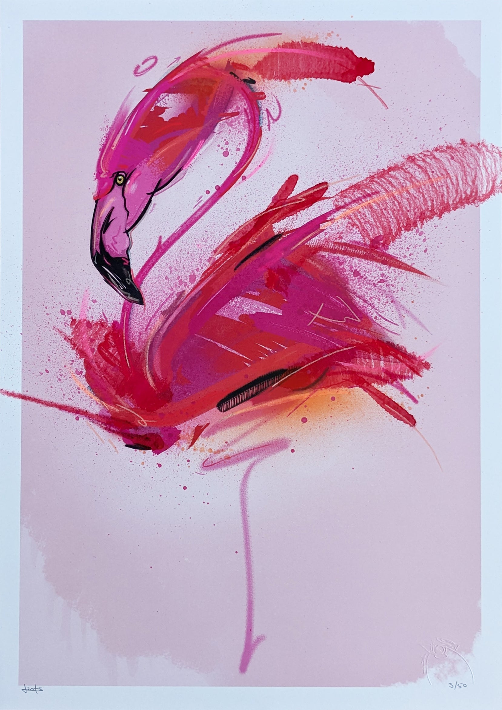 Flamingo 2