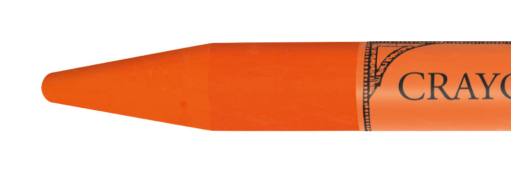 Nasturtium Orange