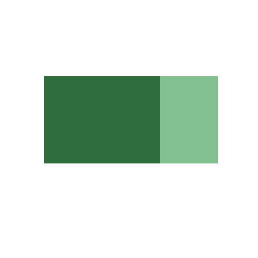 Schmincke Designer gouache 20ml Fir Green