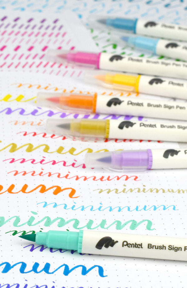 PENTEL SESW30C Brush Sign Pen Twin - uplaceret billede