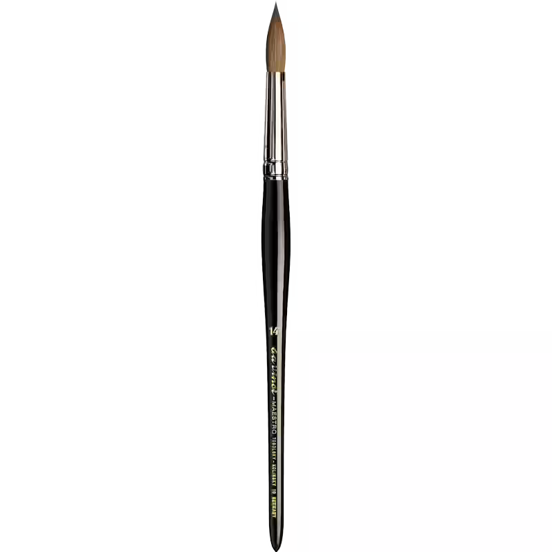 Da Vinci Maestro 10