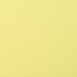 Permanent Yellow Light