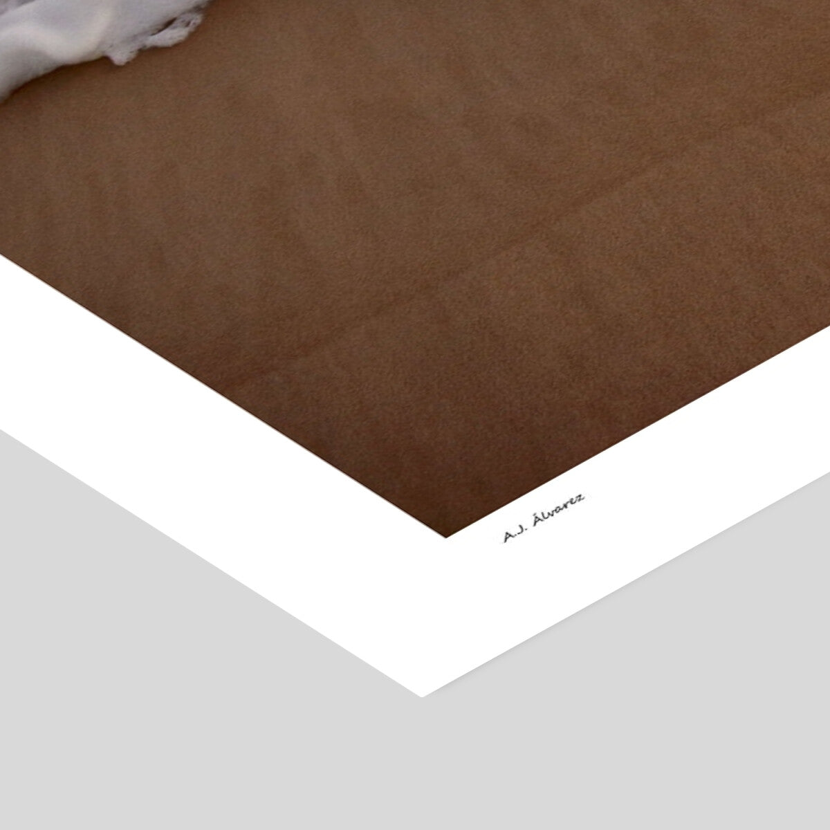 AJ Alvarez Stranded No. 4 A3