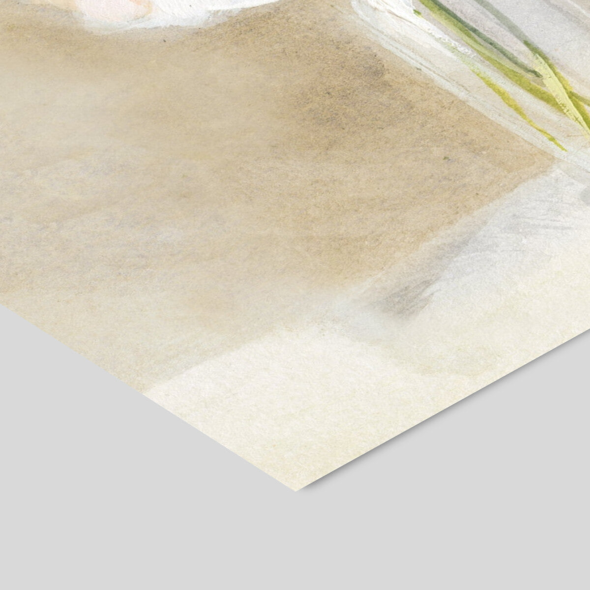 Wild Apple Country Fresh IV Warm - A5