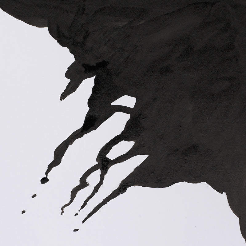 INK 754 Liquid Indian Black