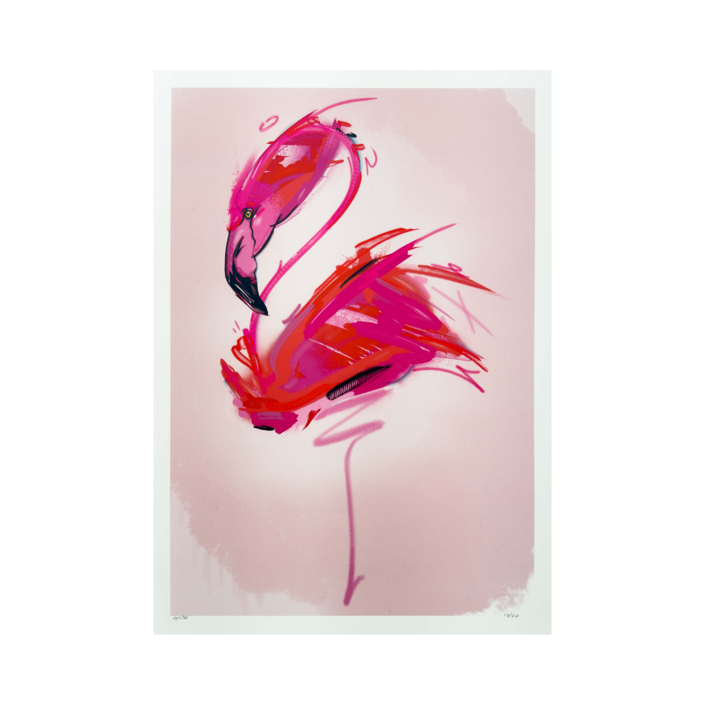 Animal abstract - Flamingo