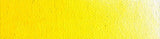 Cadmium Yellow Medium