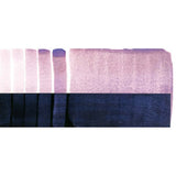 Duochrome Kaktusblüte