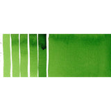 Hooker's Green