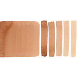 Burnt Sienna Light