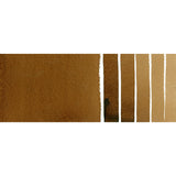 Burnt Umber