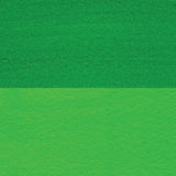 Permanent Green Light