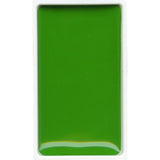 SAP GRÜNES LICHT 51