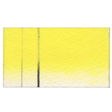 Cadmium Yellow Primrose