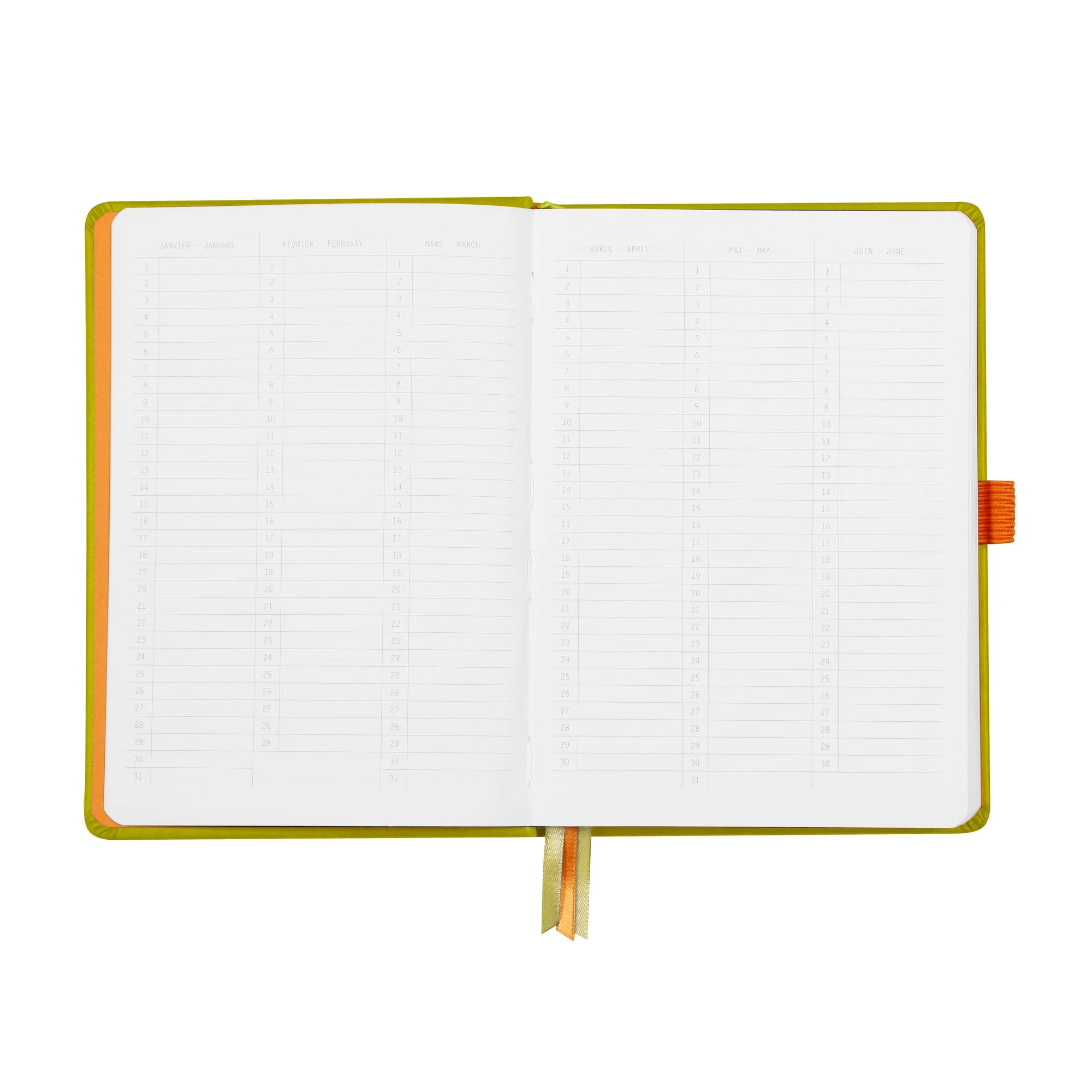 Rhodia Rhodiarama hardcover Goalbook ANISE A5