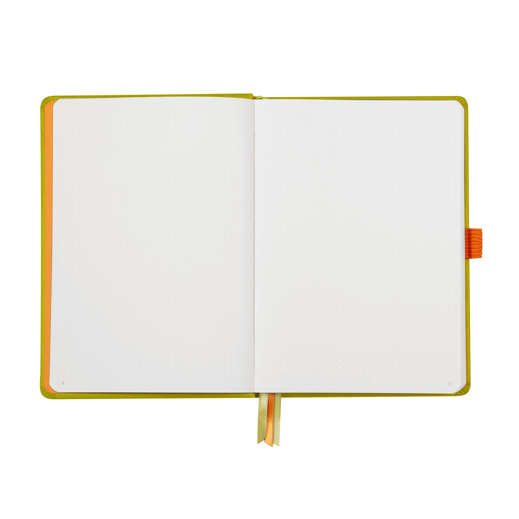 Rhodia Rhodiarama hardcover Goalbook ANISE A5