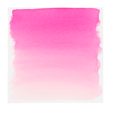 Light rose