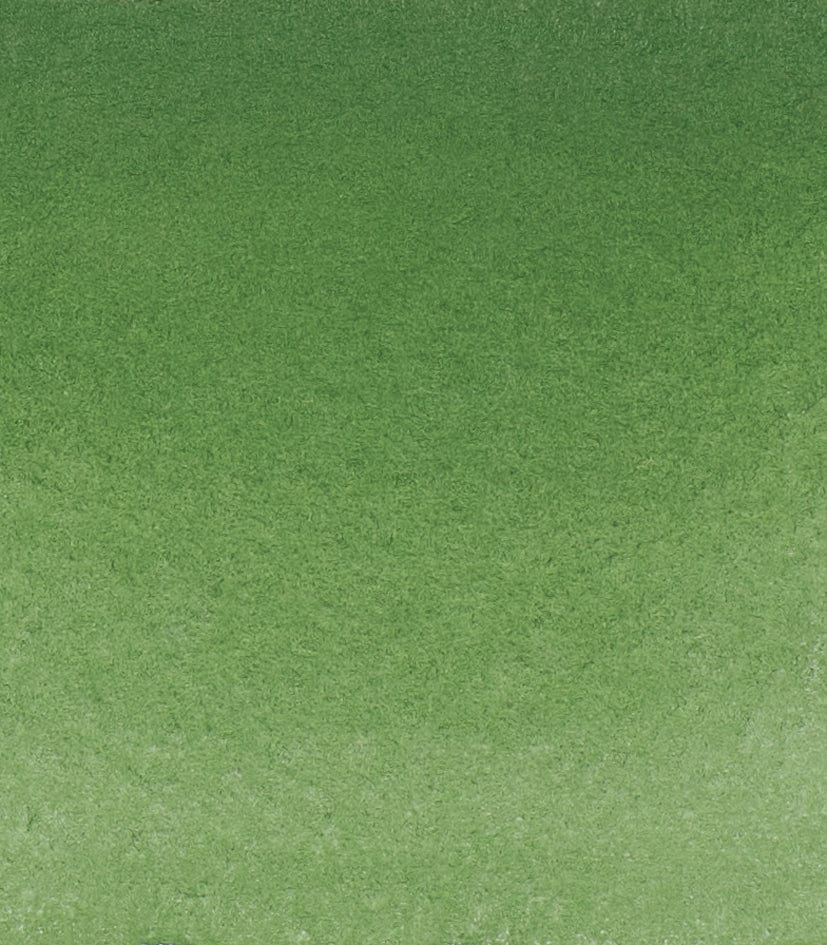 Schmincke Akvarelmaling Chromium Oxide Green