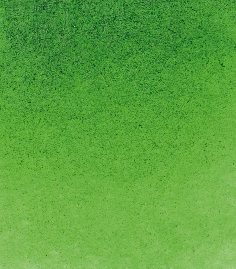 Schmincke Akvarelmaling Sap Green