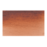 Maroon Brown