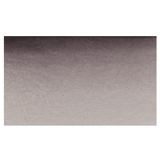 Neutral Tint