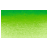 Permanent Green