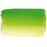 Phthalo. Green Light