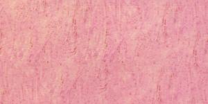 Williamsburg Oliemaling Dianthus Pink